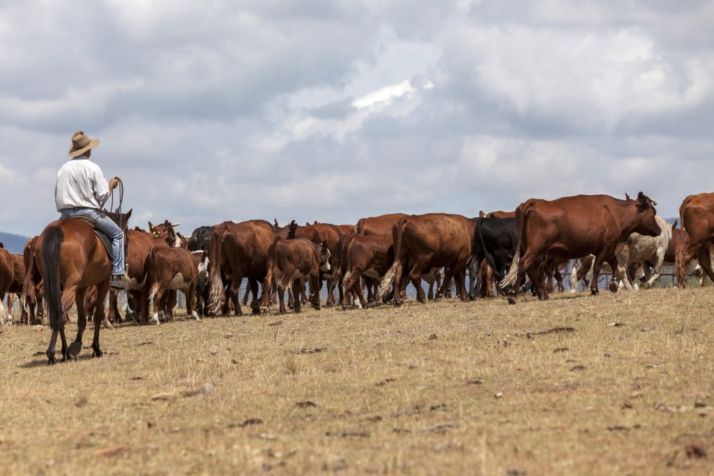 Drought and Farmers 2021