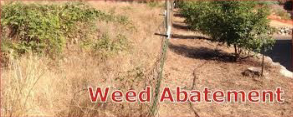 Weed Abatement Inspections Begin May 1