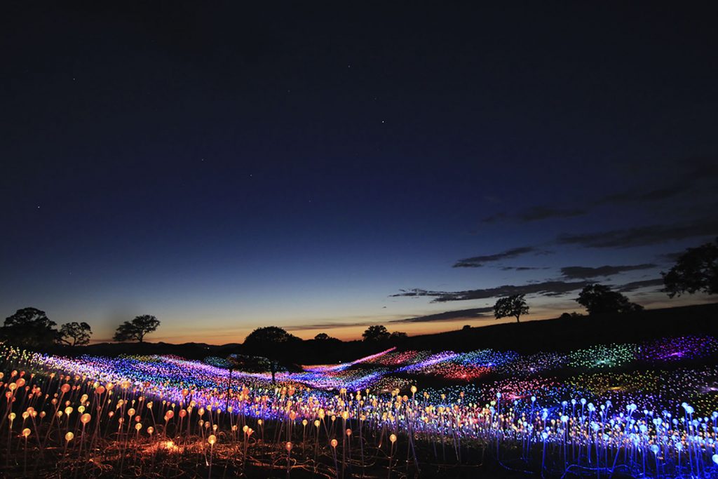 This image has an empty alt attribute; its file name is Field-of-Light-at-Sensorio_Copyright-©-2019-Bruce-Munro.-All-rights-reserved.-Photography-by-Serena-Munro_14-1024x683.jpg