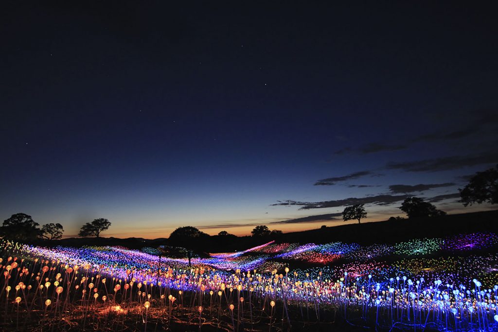 Field of Light at Sensorio Copyright © 2019 Bruce Munro. All rights reserved. Photography by Serena Munro 14