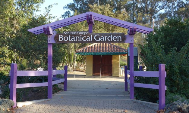 San Luis Obispo Botanical Garden: The Garden is Changing Entrance