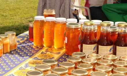 Golden Oak Honey Festival offers a sweet and crafty experience