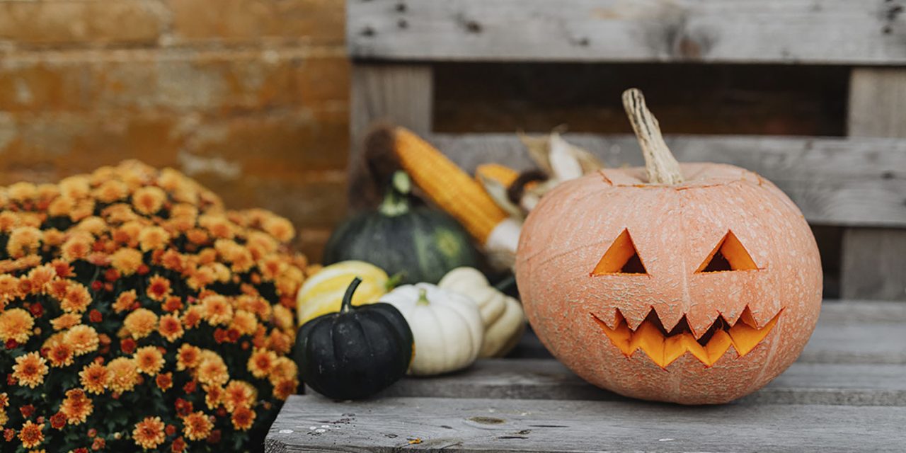 SLO County Health Officer Issues Guidance for Safer Halloween Activities During COVID-19