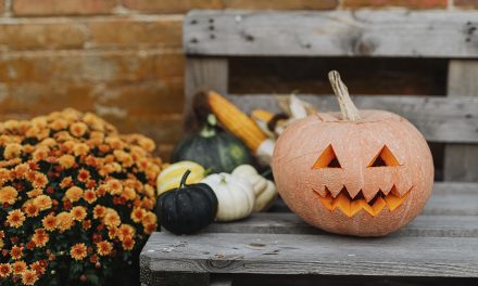 SLO County Health Officer Issues Guidance for Safer Halloween Activities During COVID-19