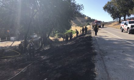 Paso Robles Fire and Emergency Services Respond to Vegetation Fire