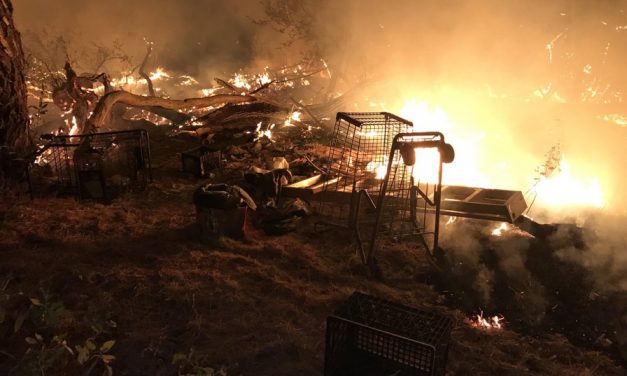 Paso Robles Salinas River Project, Fires and Homeless