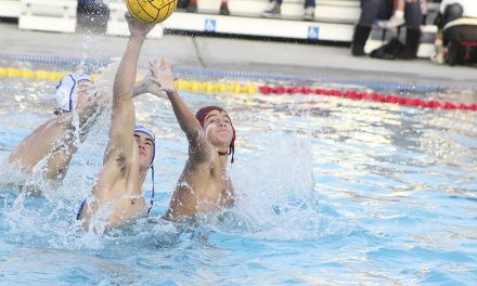 Bearcats Boys Water Polo Falls in First Round