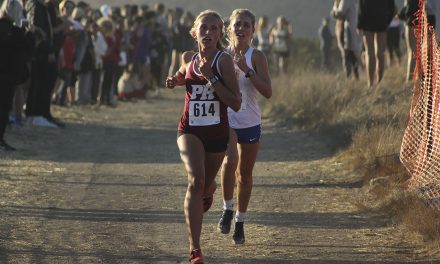 Bearcats and Hounds Cross Country Gearing up for CIF