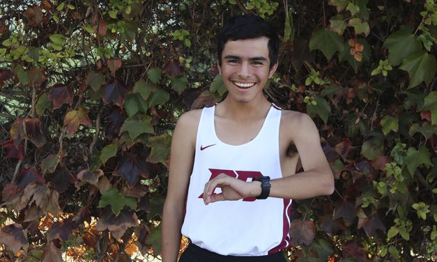 Boys Cross Country Runner of the Year: Damian Gavilan