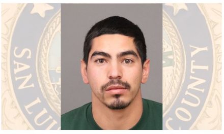 Felony Domestic Violence Suspect Arrested