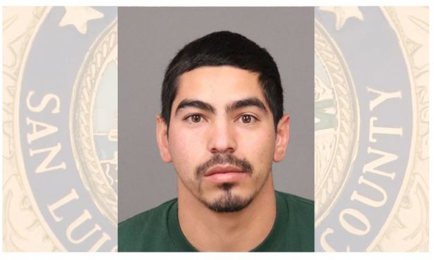 Felony Domestic Violence Suspect Arrested
