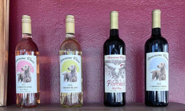 Dracaena Wines Opens First Tasting Room in Downtown Paso Robles