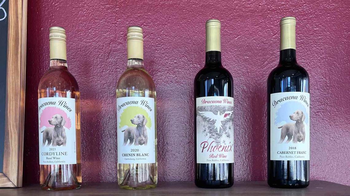 Dracaena Wines Opens First Tasting Room in Downtown Paso Robles