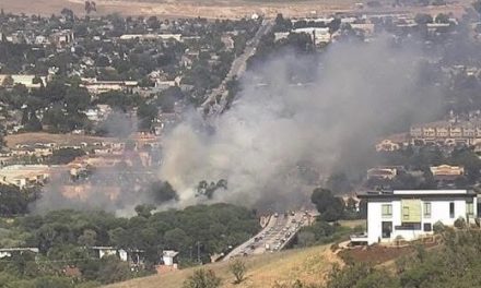 Vegetation Fire Contained in Salinas Riverbed Near Niblick Bridge