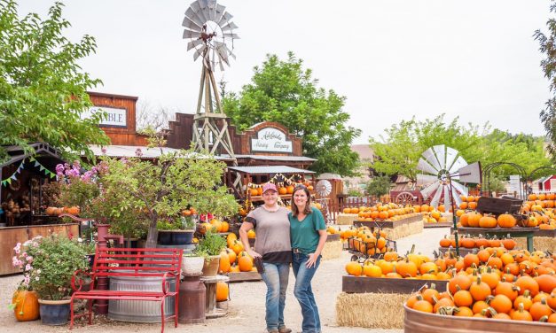 Jack Creek Farm Announces their “Pumpkin Palooza” and “Field Trip in a Box”