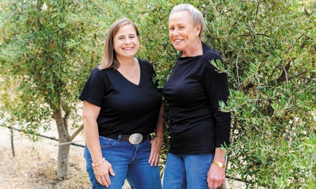 Third annual joint Paso Robles Olive & Lavender Festival coming this May