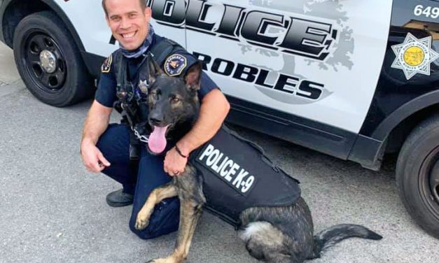 PRPD K9 Renzo Receives Donation of Body Armor