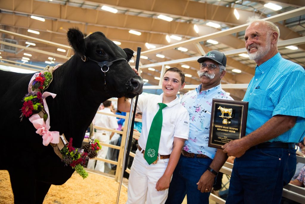 California MidState Fair Livestock Virtual Auction Begins July 22