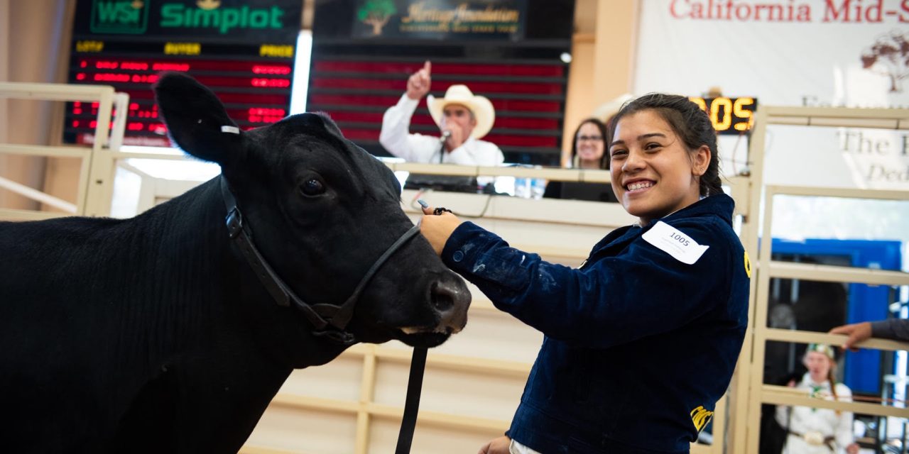 California Mid-State Fair Livestock Virtual Auction Begins July 22