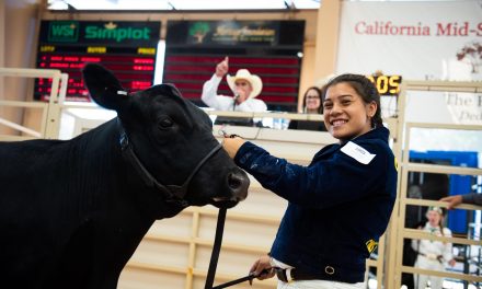 California Mid-State Fair Livestock Virtual Auction Begins July 22