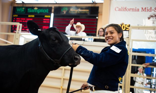 California Mid-State Fair Livestock Virtual Auction Begins July 22