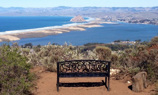 Cleanup to Begin at Midtown Restoration Site in the Community of Los Osos