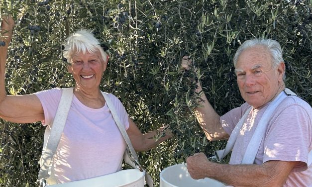 San Miguel Olive Farm wins four gold medals at world’s largest olive oil competition