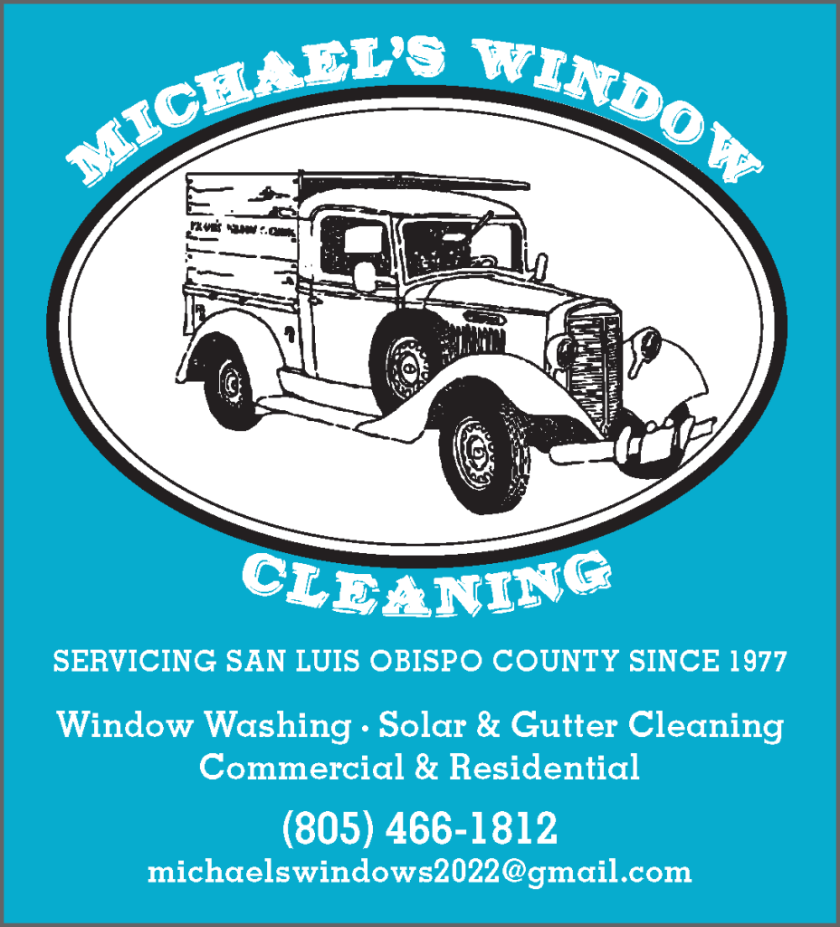Michaels Window Cleaning ATNPRP CONDIRECT 2x4Ad v2