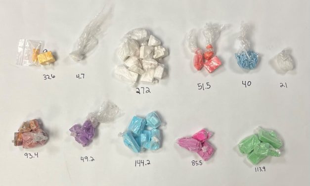 Sheriff’s Detectives Apprehend Suspect in Drug Trafficking Operation near Paso Robles