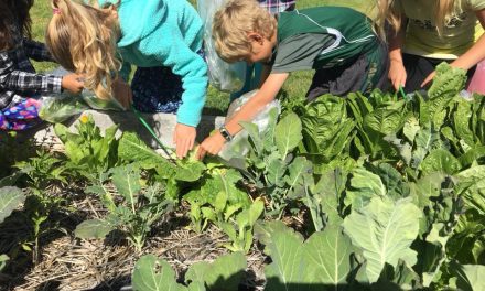 Garden Education Supported by Community Foundation of SLO