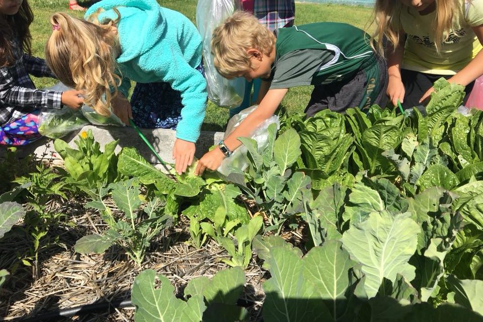 One Cool Earth Returns to 28 Central Coast Schools