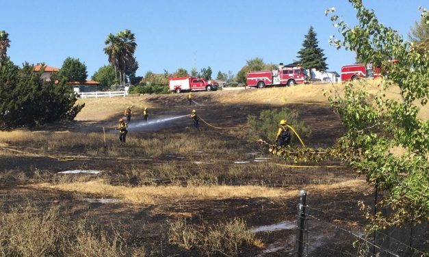 July 17 Vegetation Fire and Weed Abatement Update