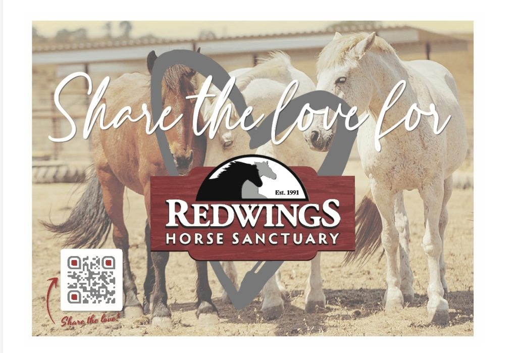 Share the Love for Redwings Horse Sanctuary • Paso Robles Press