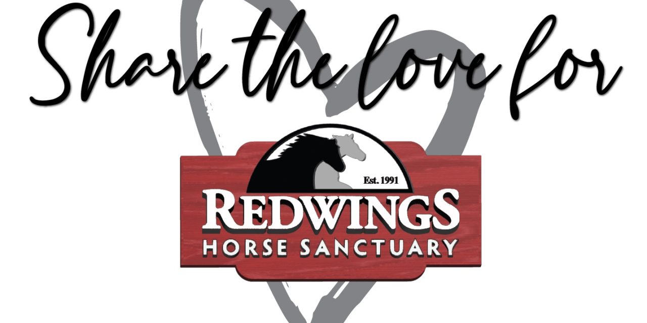 Share the Love for Redwings Horse Sanctuary