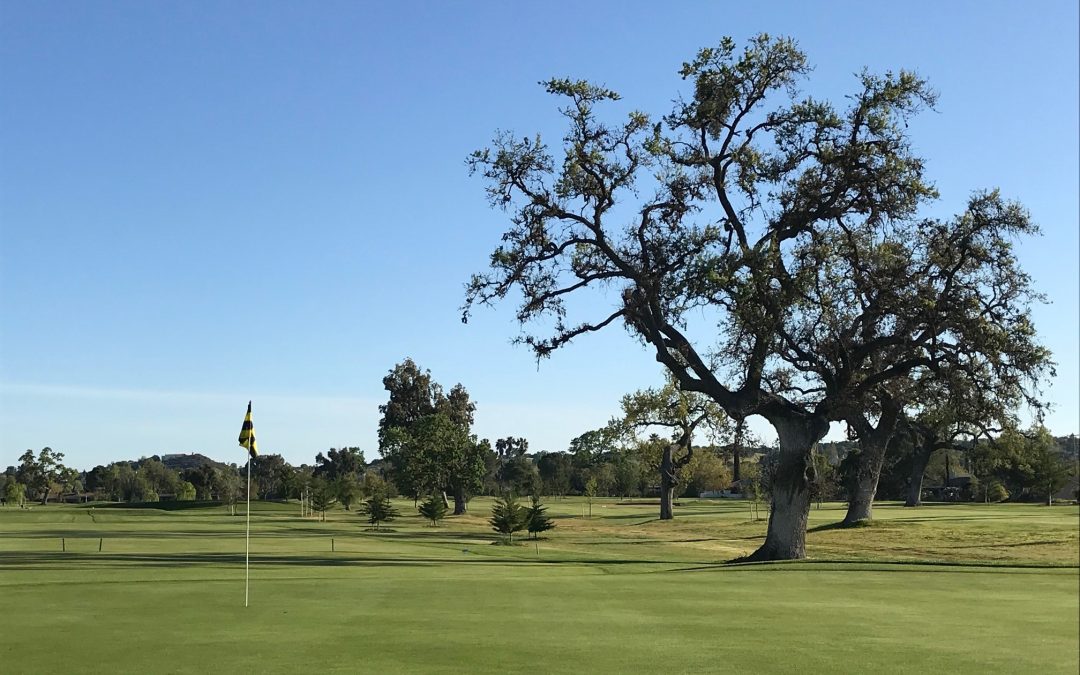 North County Golf Courses Open For Business