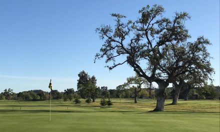 North County Golf Courses Open For Business