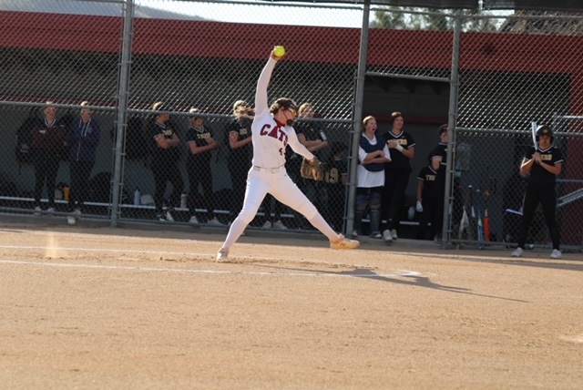 PRHS Softball Team Contributed 5