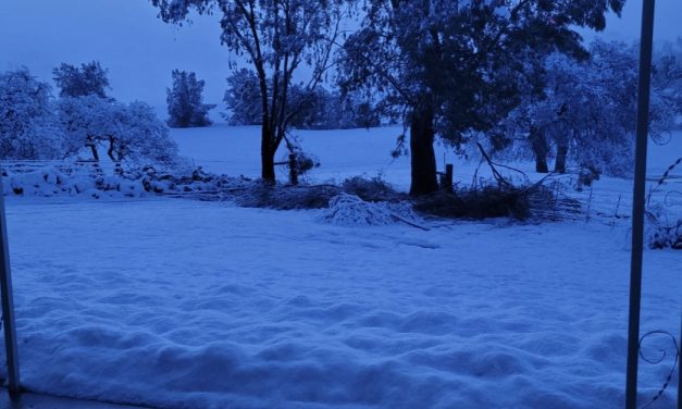 North County Wakes Up to Snow Saturday Morning
