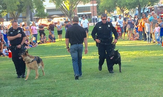 National Night Out answers safety questions
