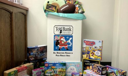 Delta Liquid Energy annual holiday donation drive collecting for local nonprofits