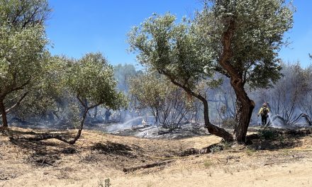 Vegetation Fire Salinas Riverbed Extinguished
