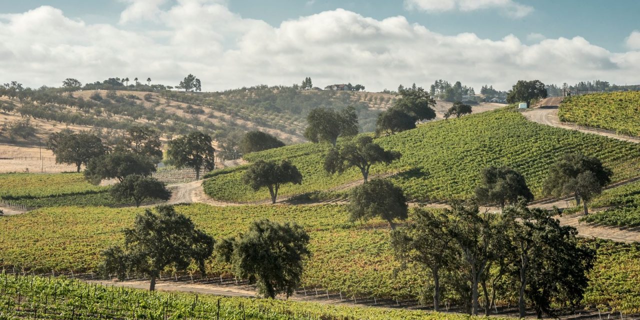 Paso Robles Wine Industry Drives $2.8 billion economic boom