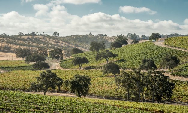 Paso Robles Wine Industry Drives $2.8 billion economic boom