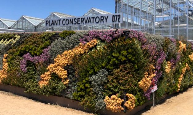 San Luis Obispo Botanical Garden Presents: The Secrets of Living Walls