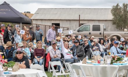 Redwings Horse Sanctuary Celebrates Second Annual Block Party