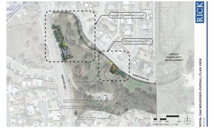 Royal Oak Meadows Park undergoes major enhancements