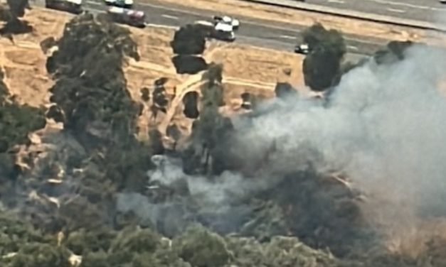 Vegetation Fire Contained in Salinas Riverbed Near Highway 101 in Paso Robles