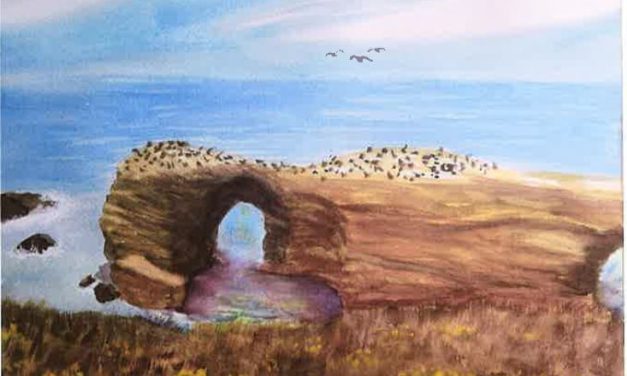 Paso Robles Library March Happenings