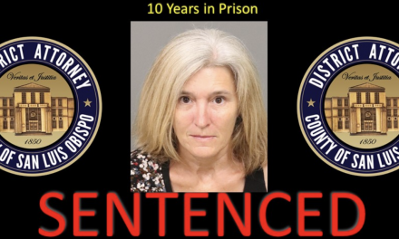 Local Bookkeeper Ginger Lee Mankins Sentenced to 10 Years