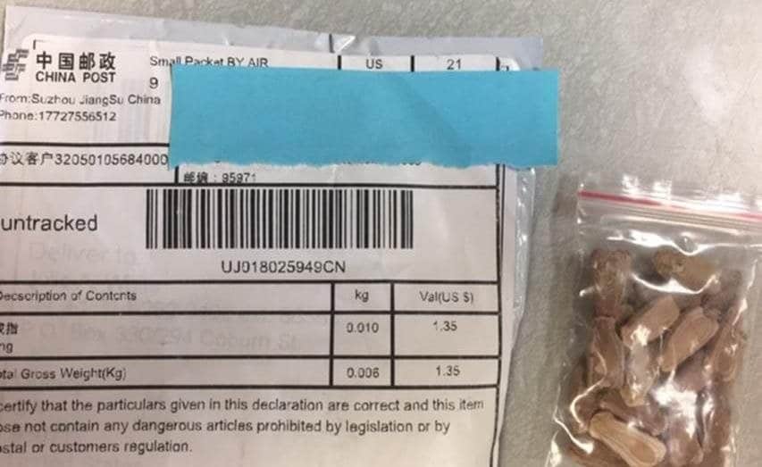 ‘Mysterious and Unsolicited Seed’ Shipments from China
